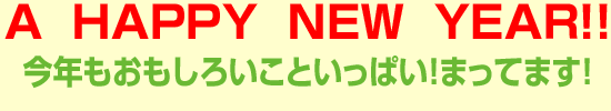 Ａ　ＨＡＰＰＹ　ＮＥＷ　ＹＥＡＲ！！