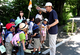 花だん道路